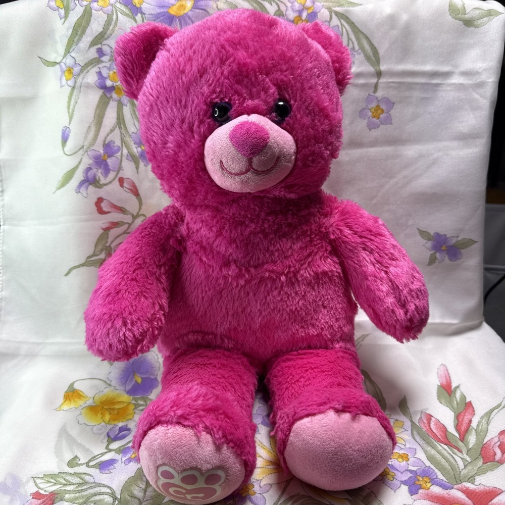 Build-A-Bear‎ CUB CONDO Pink Teddy 15" 2018 Stuffed Toy